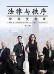 法律与秩序:特殊受害者第十六季电视剧